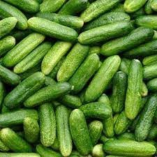 Gherkin Cucumis anguria seeds for garden planting