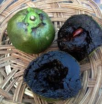 Sapote Fruit Seed Collection for Tropical, Creamy Fruit Growth 100 Pcs pcs