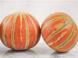 Kajari melon fruit seeds