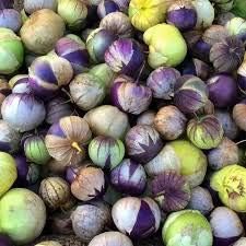Milpero Purple Tomatillo Vegetable Seeds – Small and Flavorful Variety 100 Pcs pcs