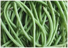 Bean Vegetable Seeds for Planting, 100 Pcs pcs