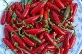 100 Pcs