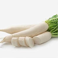 White Radish Raphanus sativus for planting in urban garden