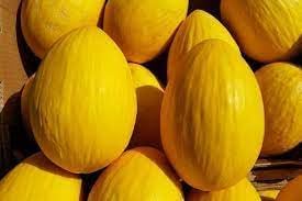 Honey Melon Fruit Seeds for Growing Sweet and Refreshing Melons 100 Pcs pcs