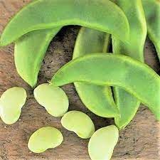 Bean Vegetable Seeds for Planting, 100 Pcs pcs