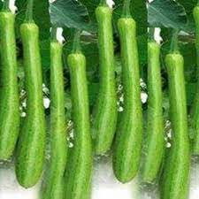 100 Pcs
