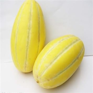 Musk Melon Fruit Seeds Yellow White 100 Pcs pcs