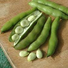 Butterpea Vegetable Seeds for Planting - 100 Pcs pcs