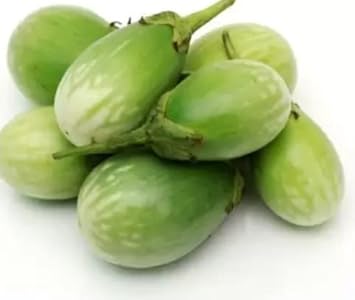Eggplant Vegetable Seeds for Planting - 100 Pcs pcs
