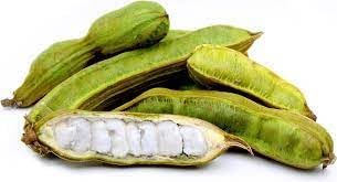 Inga edulis fruit seeds