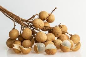 Longan fruit seeds