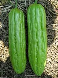 Vietnamese Gourd Benincasa hispida seeds for garden planting
