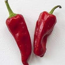 Mixed Chile Peppers Capsicum spp. seeds for garden planting