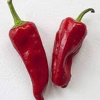 Mixed Chile Peppers Capsicum spp. seeds for garden planting
