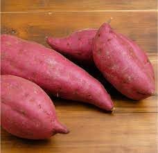 Sweet Potato Ipomoea batatas seeds for garden planting