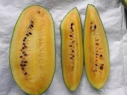Star Fruit Averrhoa carambola seeds for planting in home garden