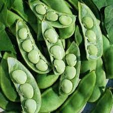 Lima Bean Seeds for Planting, 100 Pcs pcs