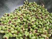 Cowpea Seeds for Planting - 100 Pcs pcs