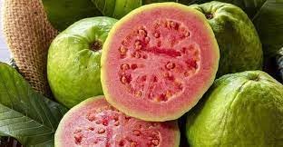 Guave Fruit Seeds - Tropical Sweetness for Your Garden 100 Pcs pcs