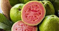 Guava fruit seeds