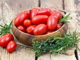 Roma Tomato Solanum lycopersicum seeds for garden planting