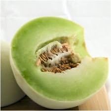 New Fresh 100 Pcspcs Green Honeydew Melon Vegetable Seeds - Sweet and Crisp Honeydew Melons for Your Garden 100 Pcs pcs