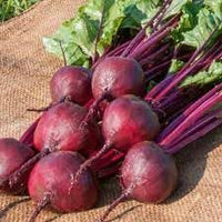 Swede Brassica napus seeds for garden planting
