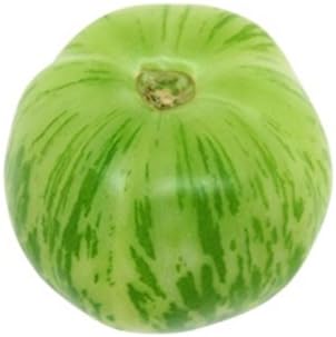 Green Tomato Solanum lycopersicum for planting in home garden
