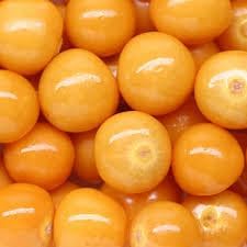 Sweet Tomato Solanum lycopersicum seeds for garden planting