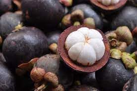 Mangosteen fruit seeds