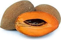 Mamey fruit seeds for planting