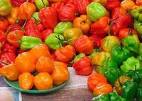Sweet Pepper Vegetable Seeds for Planting - 100 Pcs pcs
