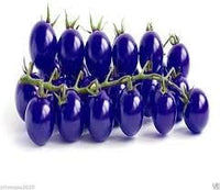 Tomato Seeds for Planting, Dark Blue, 100 Pcs pcs