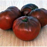 Maroon Red Tomato Seeds for Planting - heirloom & Non GMO Seeds