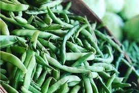 Bean Seeds for Planting - 100 Pcs pcs