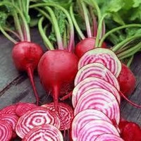 Red Beetroot Seeds for Planting - 100 Pcs pcs
