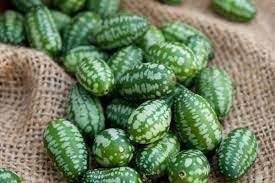 Mini melon fruit seeds