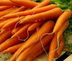 Carrot Daucus carota seed mix for garden planting