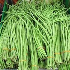 100 Pcs