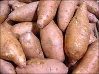 Brown Sweet Potato Ipomoea batatas seeds for planting in vegetable patch