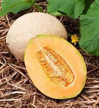 50pcs Jumbo Cantaloupe Fruit Seeds - Grow Giant, Juicy Cantaloupes in Your Garden 100 Pcs pcs