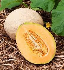 50pcs Jumbo Cantaloupe Fruit Seeds - Grow Giant, Juicy Cantaloupes in Your Garden 100 Pcs pcs