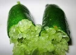 Finger Lime Fruit Seeds for Planting - Green, Tangy Variety for Unique Citrus Flavors