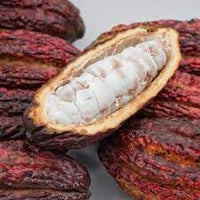 Cacao Fruit Seeds - Grow Your Own Chocolate Tree 100 pcs