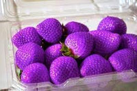 Red Mangosteen Fruit Seeds - Exotic and Sweet Fruit for Your Garden 100 Pcs pcs