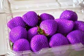 100 Pcs