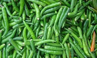Chili Pepper Vegetable Seeds for Planting - 100 Pcs pcs