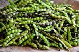 Pigeon Vegetable Seeds for Planting heirloom & Non-GMO Seeds
