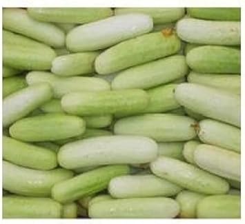 100 Pcs