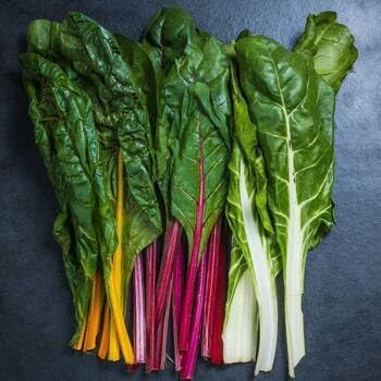Chard Beta vulgaris seeds for garden planting